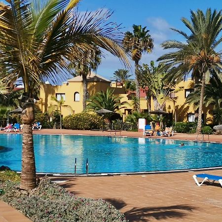 Appartamento Spagnolo Oasis Tamarindo Corralejo Exteriér fotografie