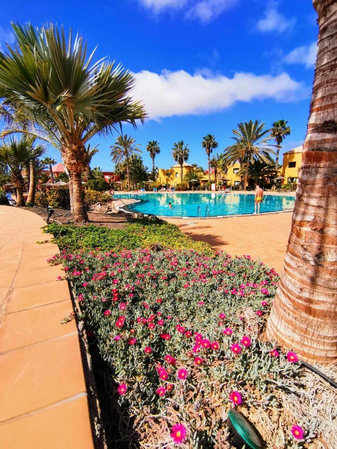 Appartamento Spagnolo Oasis Tamarindo Corralejo Exteriér fotografie