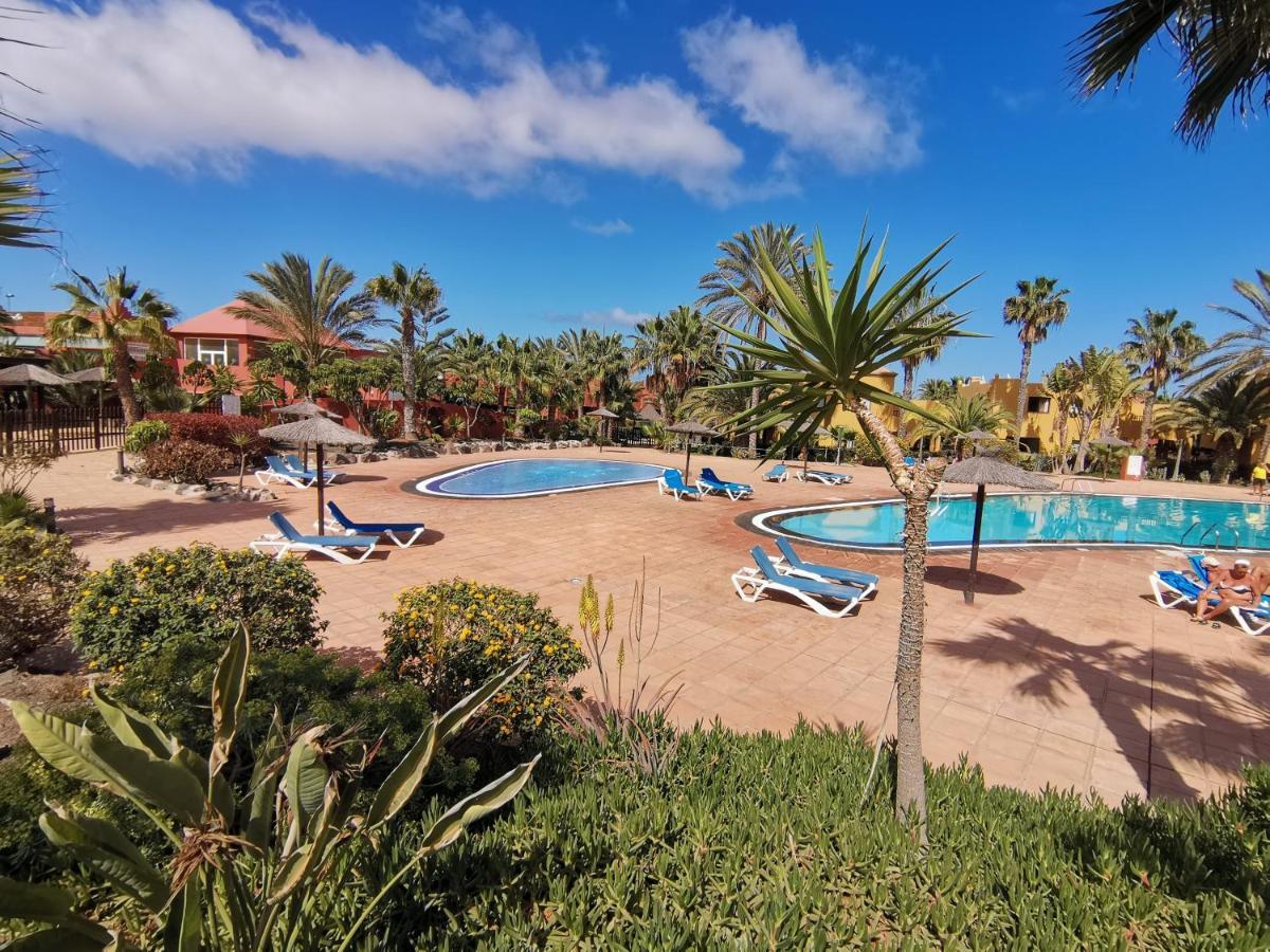 Appartamento Spagnolo Oasis Tamarindo Corralejo Exteriér fotografie