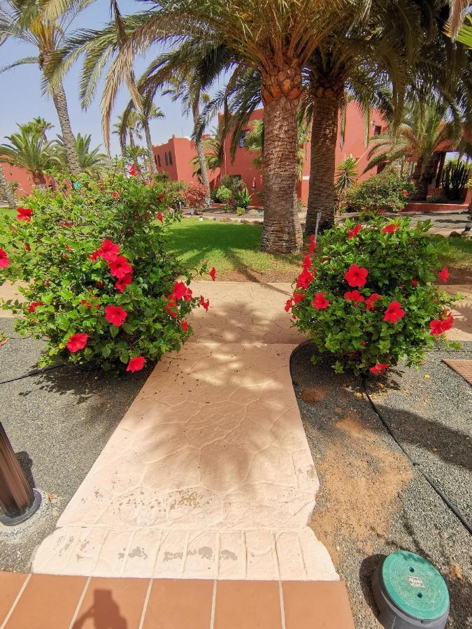 Appartamento Spagnolo Oasis Tamarindo Corralejo Exteriér fotografie