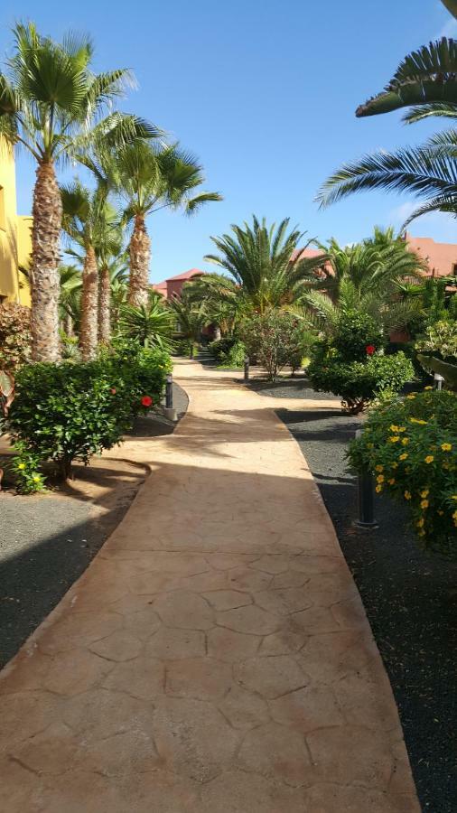 Appartamento Spagnolo Oasis Tamarindo Corralejo Exteriér fotografie