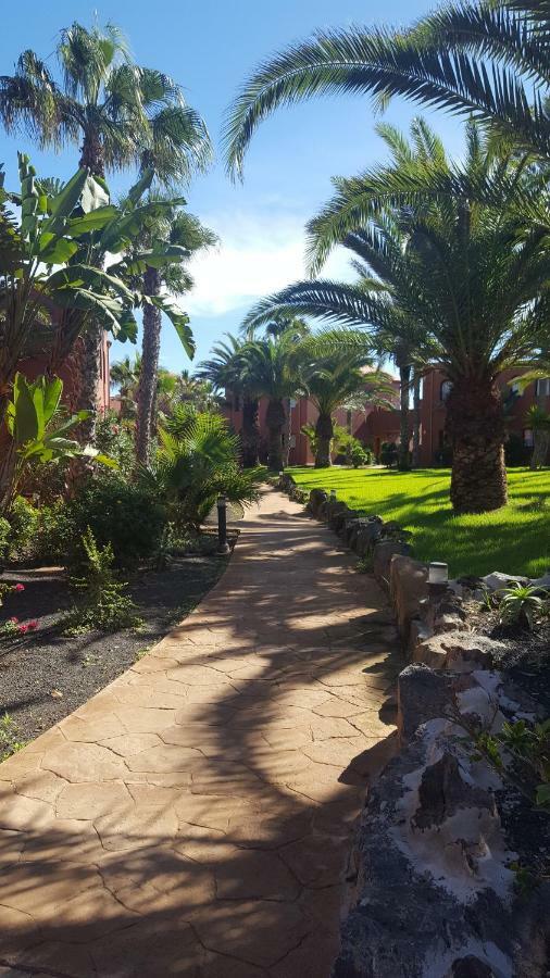 Appartamento Spagnolo Oasis Tamarindo Corralejo Exteriér fotografie