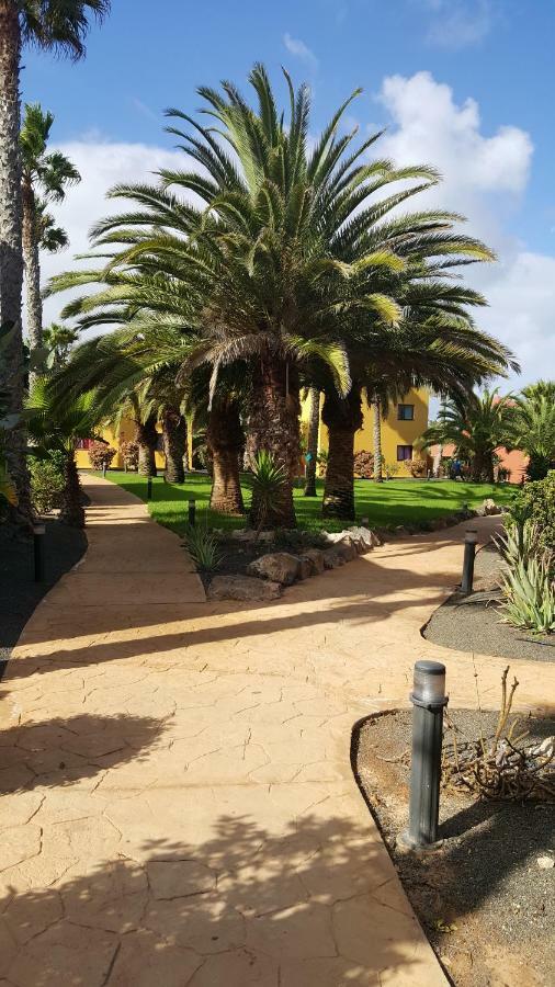 Appartamento Spagnolo Oasis Tamarindo Corralejo Exteriér fotografie